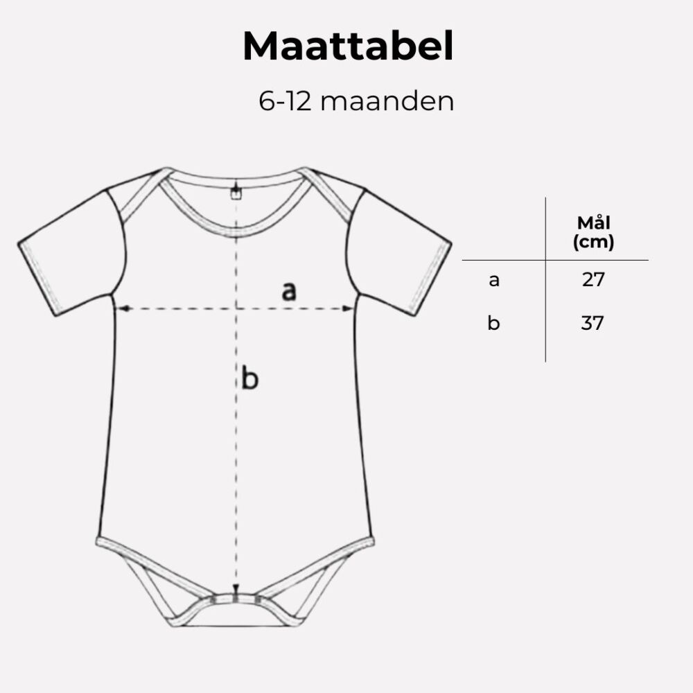 Gepersonaliseerde Baby Romper met Naam