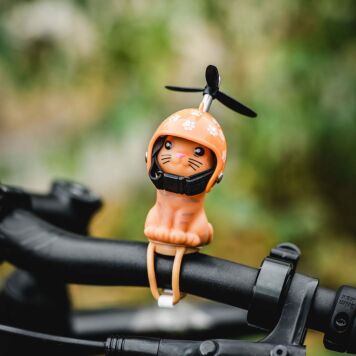 Fiets kat